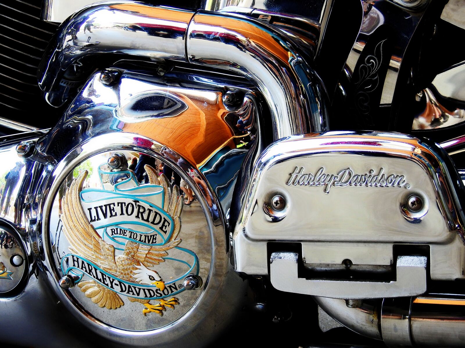 Nikon Coolpix P900 sample photo. Harley, davidson, harley davidson photography