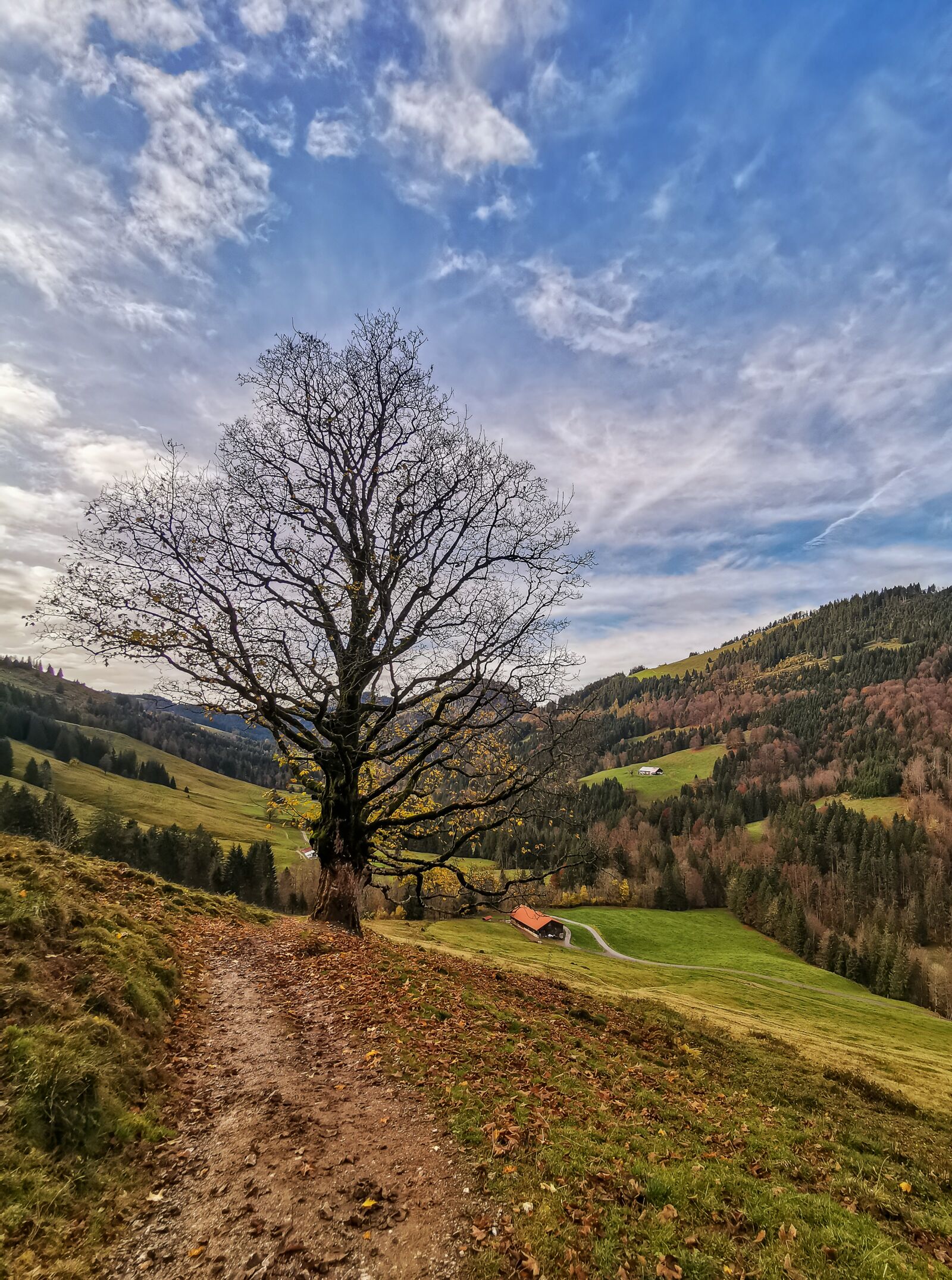 HUAWEI P30 Pro sample photo. Nature, autumn, landscape photography