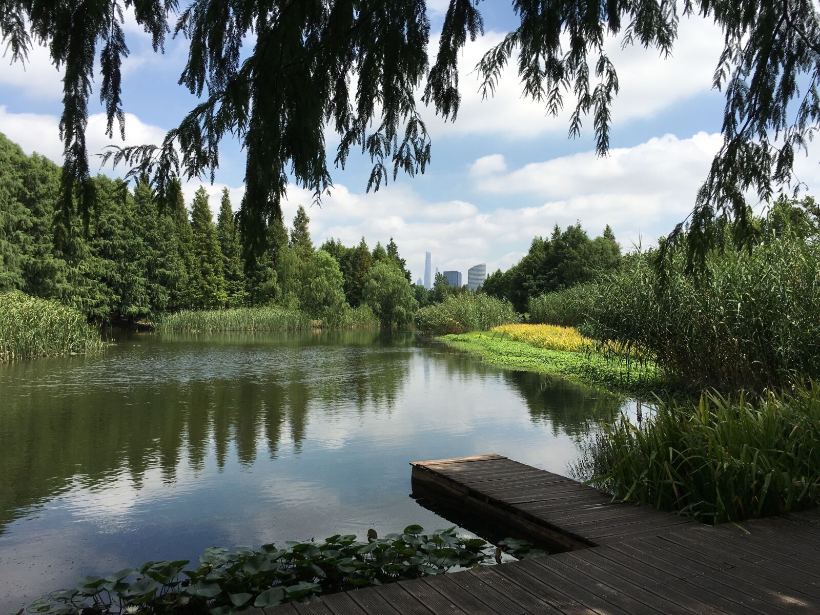 Apple iPhone 6s Plus sample photo. The scenery, picturesque, park photography