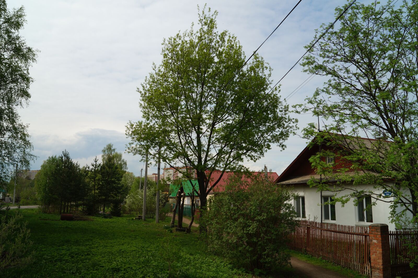 Sony SLT-A57 sample photo. Street, spring, trees photography