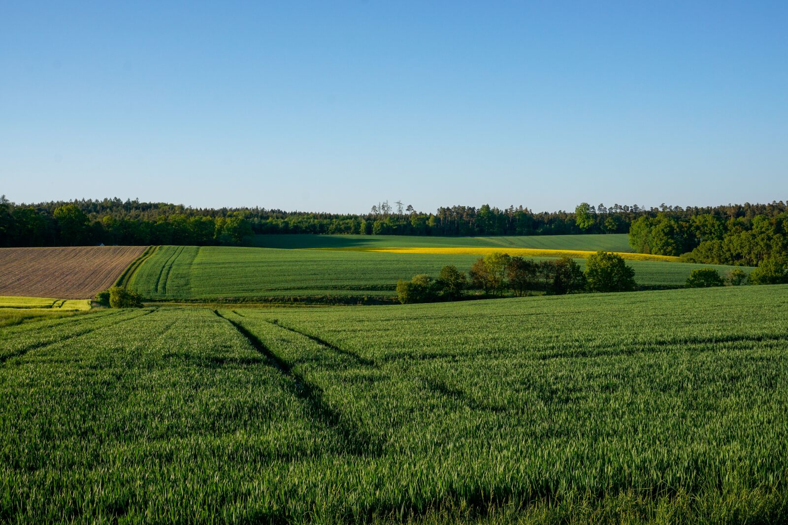 Sony a6000 sample photo. Landscape, nature, field photography