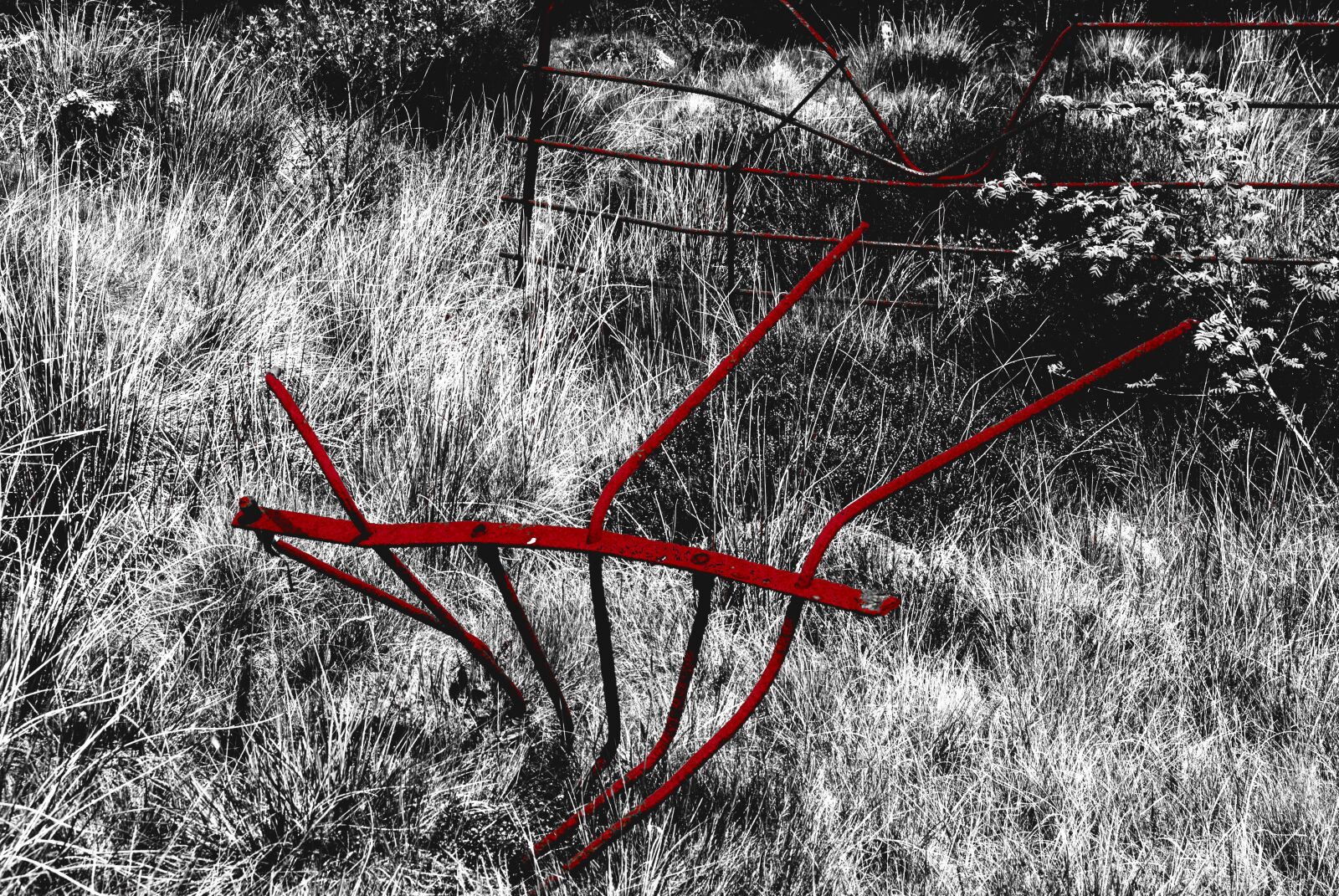Nikon D3000 sample photo. Fence, red, grass photography
