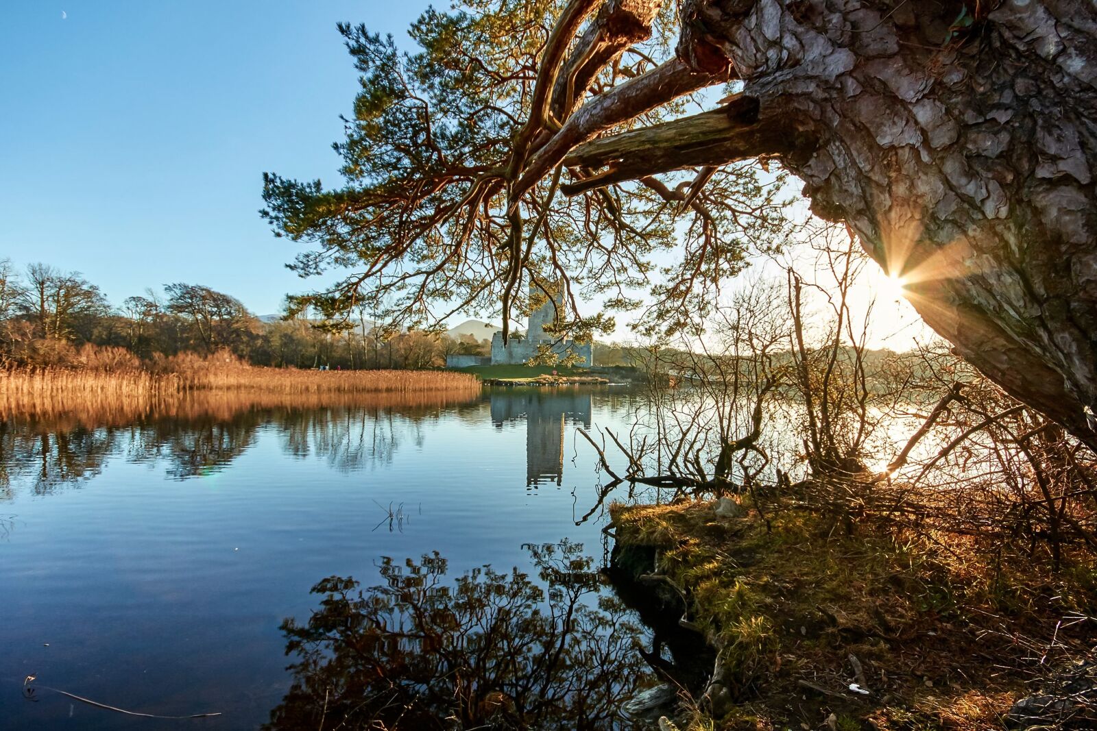 Canon EOS 7D Mark II sample photo. Castle, ross, killarney photography