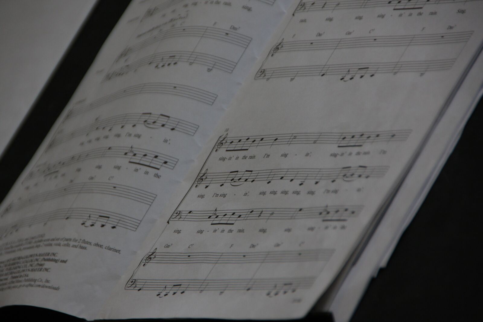 Canon EOS 40D sample photo. Music, music stand, song photography