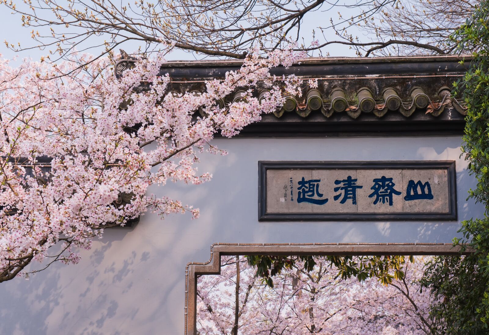 Nikon D700 sample photo. Peach blossom, architecture, pink photography