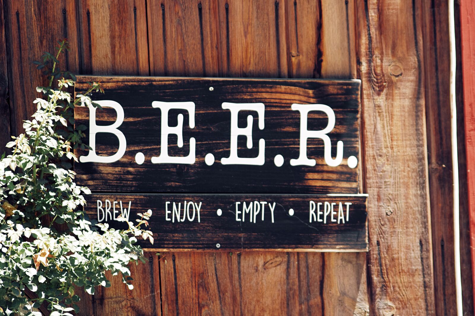 Canon EOS 750D (EOS Rebel T6i / EOS Kiss X8i) sample photo. Beer, drink, enjoy photography