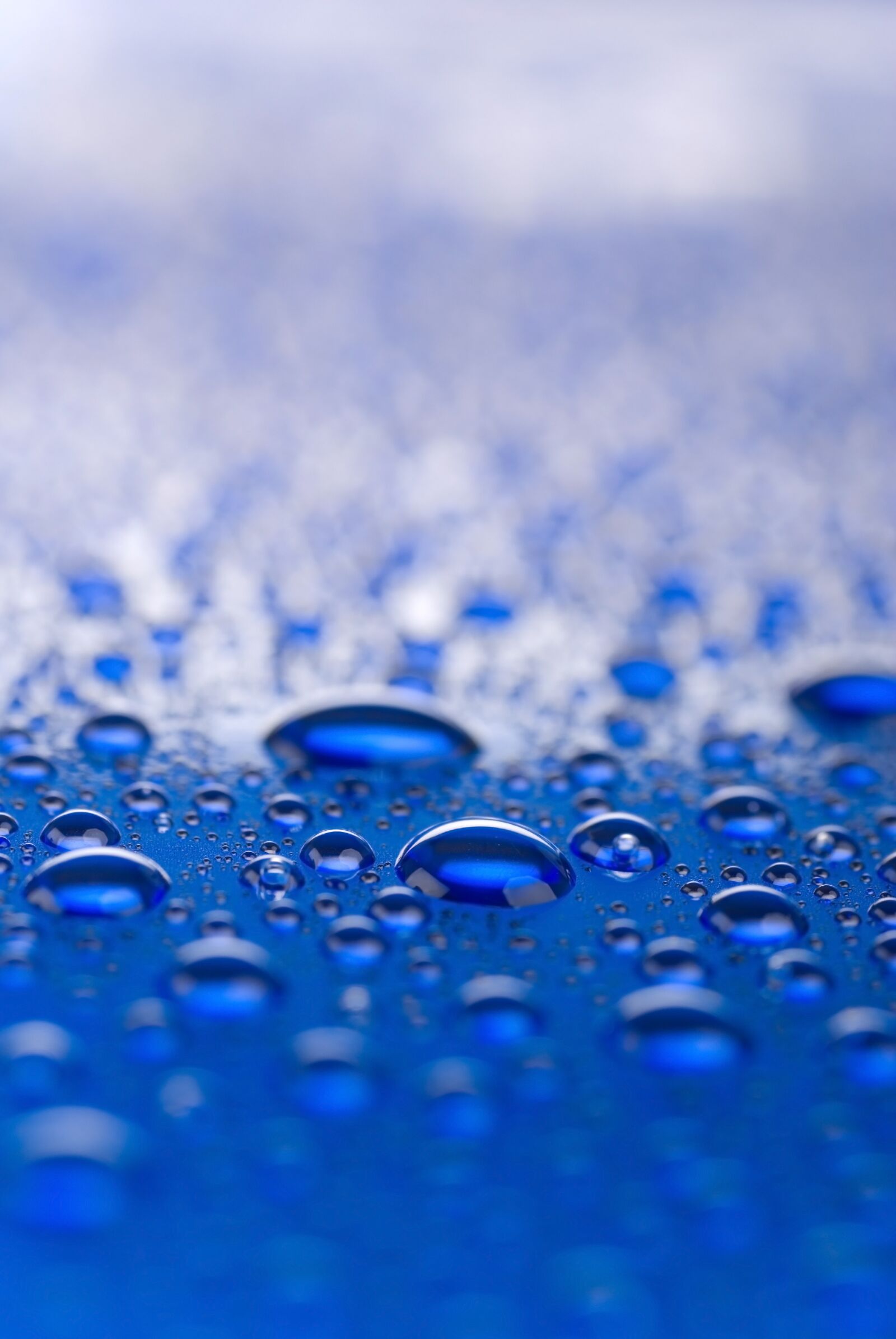 Nikon D80 sample photo. A drop of, water photography