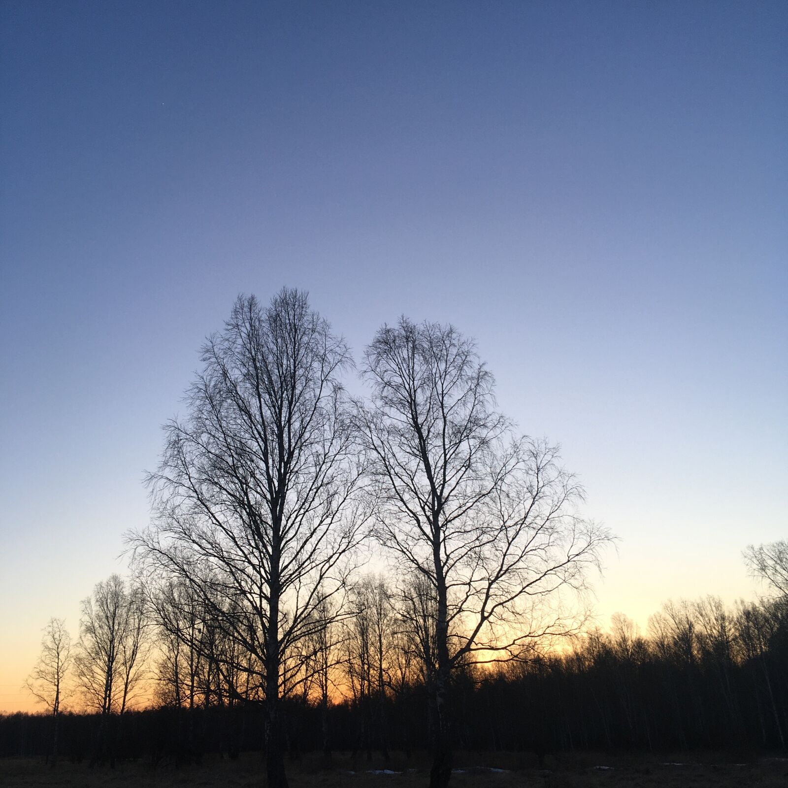 iPhone SE back camera 4.15mm f/2.2 sample photo. Nature, light, sky photography