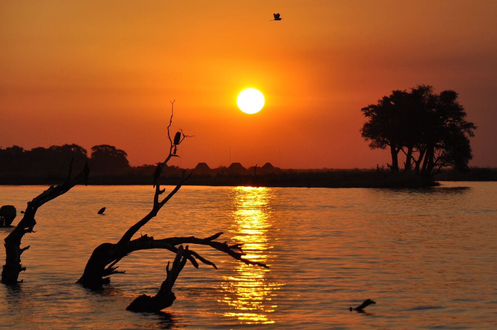 Nikon D90 sample photo. Botswana, sunset, chobe photography