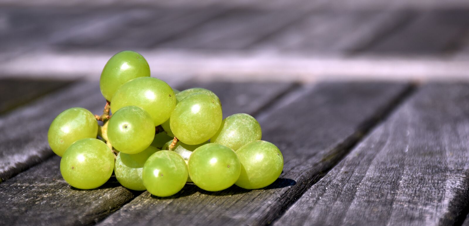Nikon D5500 sample photo. Grapes, wine, vine photography