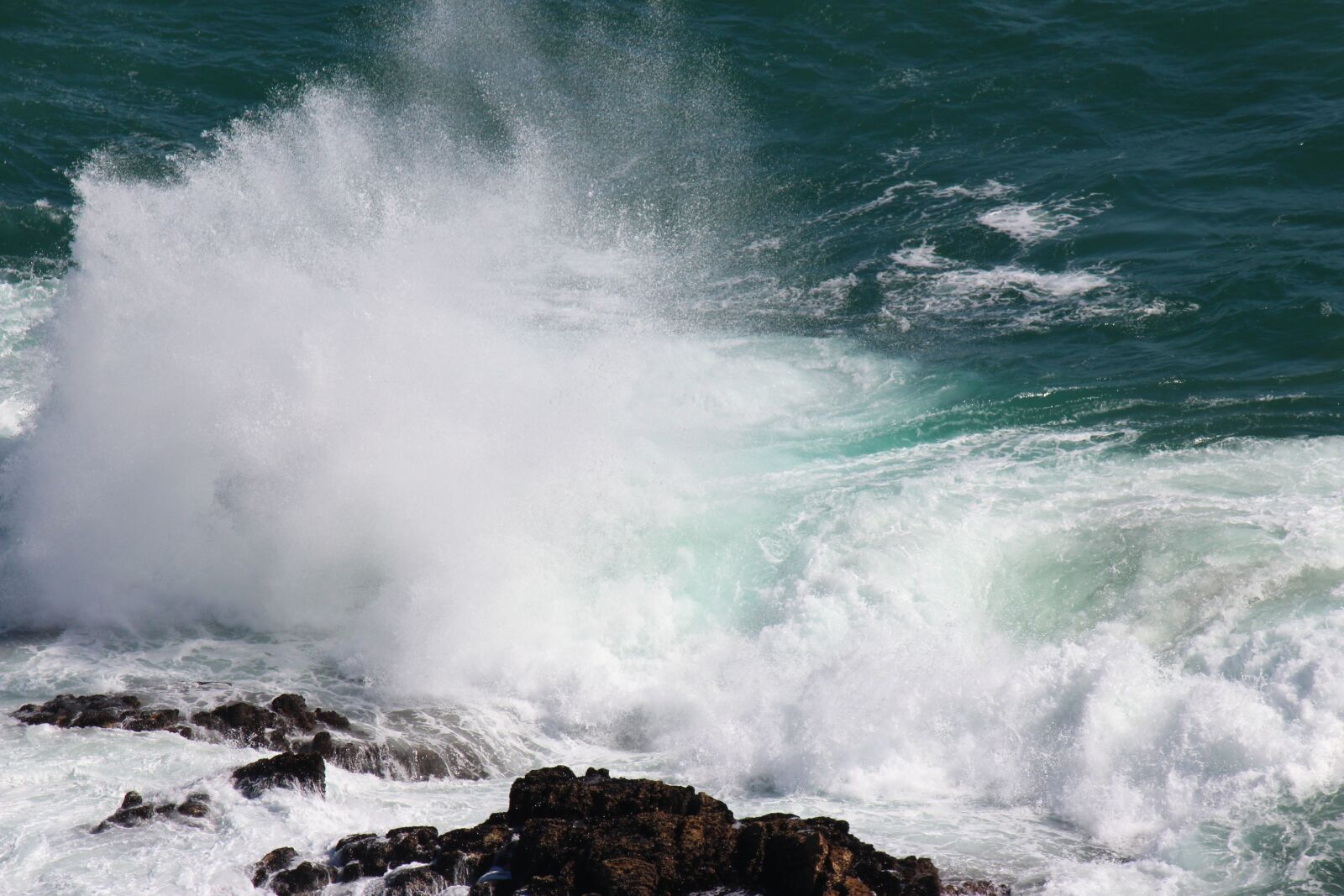 Canon EF-S 55-250mm F4-5.6 IS sample photo. Sea, south africa, knysna photography