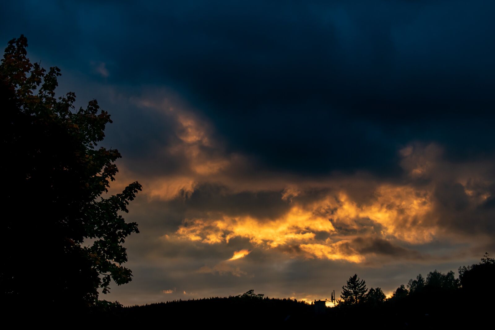 Nikon D5300 sample photo. Sunset, trees, silhouette photography