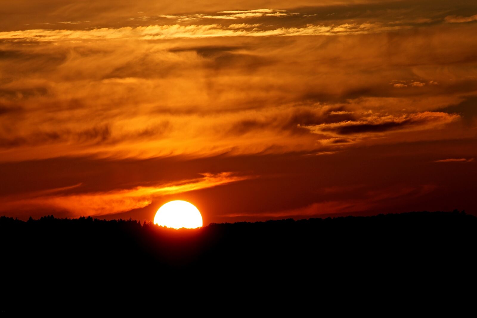 Canon EOS 1100D (EOS Rebel T3 / EOS Kiss X50) sample photo. Sunset, horizon, forest photography