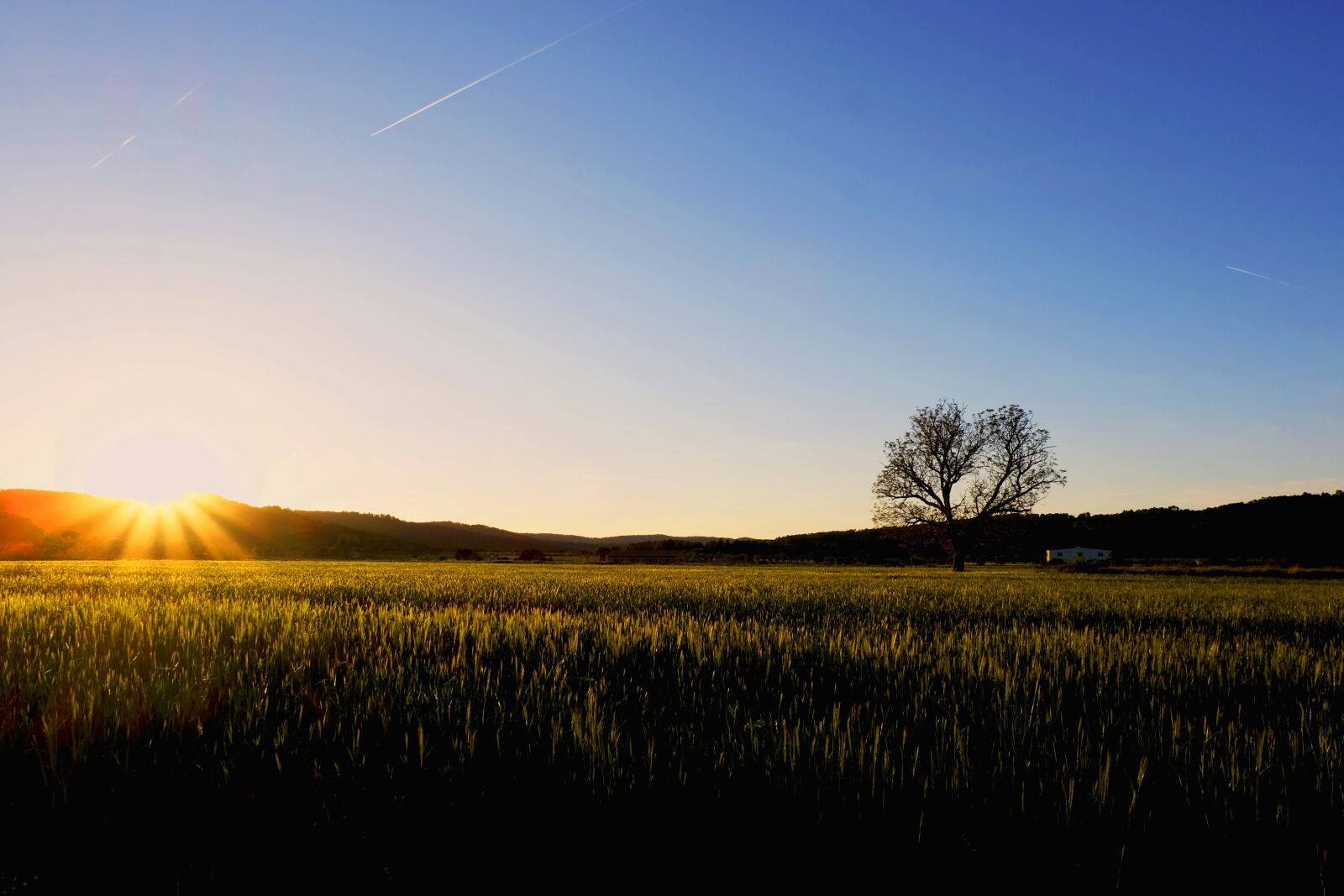 Fujifilm X-E2 + Fujifilm XC 16-50mm F3.5-5.6 OIS II sample photo. Sunrise, field, landscape photography