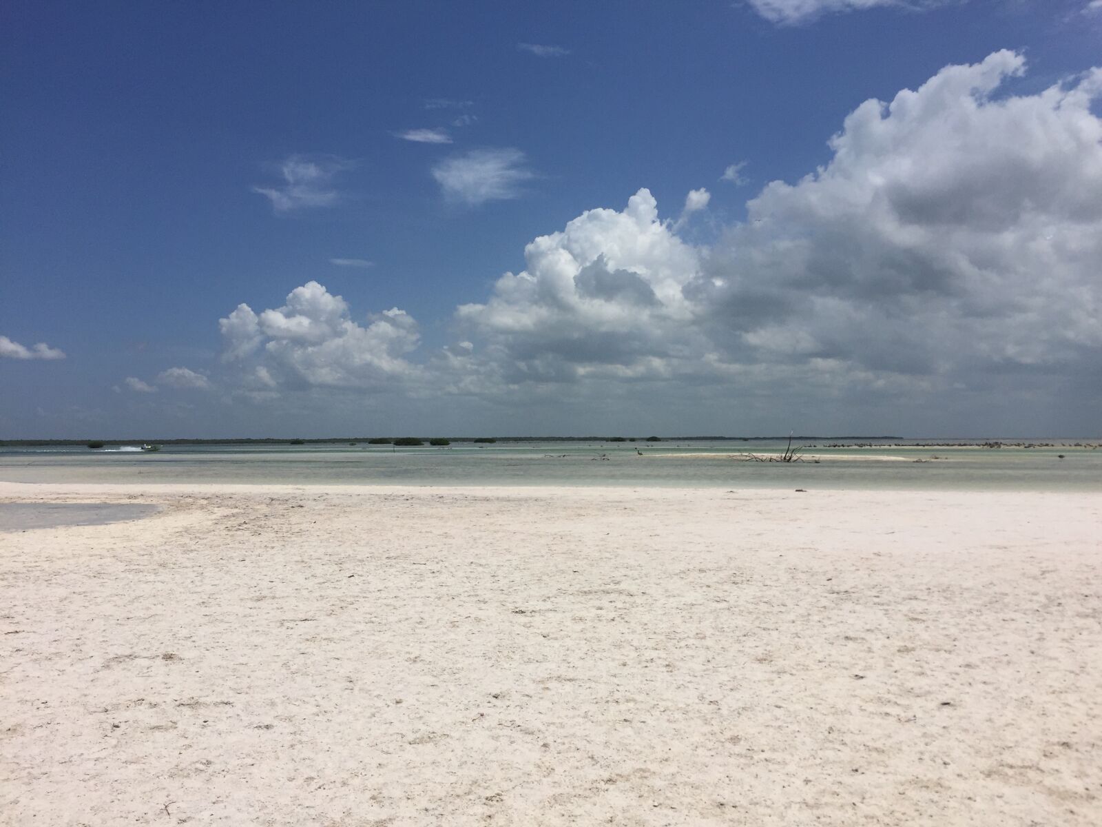 Apple iPhone 6 sample photo. Holbox beach 2, qroo, mexico photography