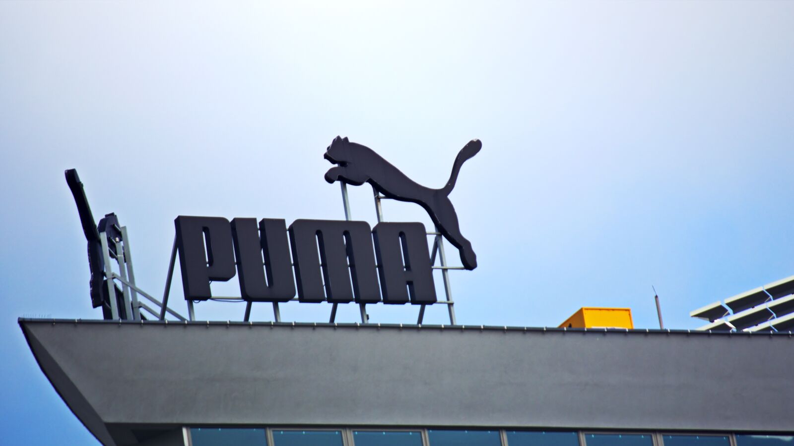 Nikon D5100 sample photo. Ad, mountain lion, roof photography