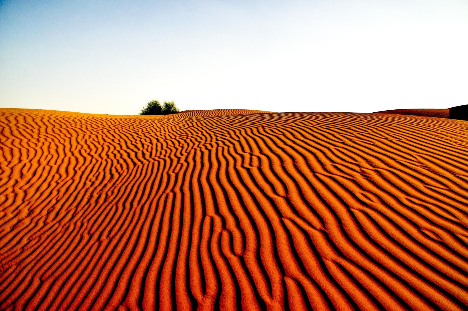 Nikon D90 sample photo. Desert, landscape, nature photography