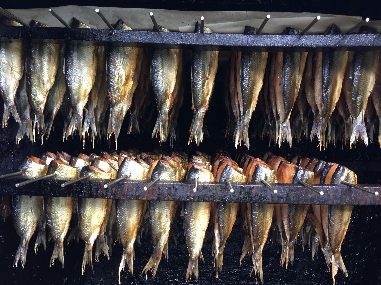 Apple iPhone 6 sample photo. Herring, smoking, fish photography