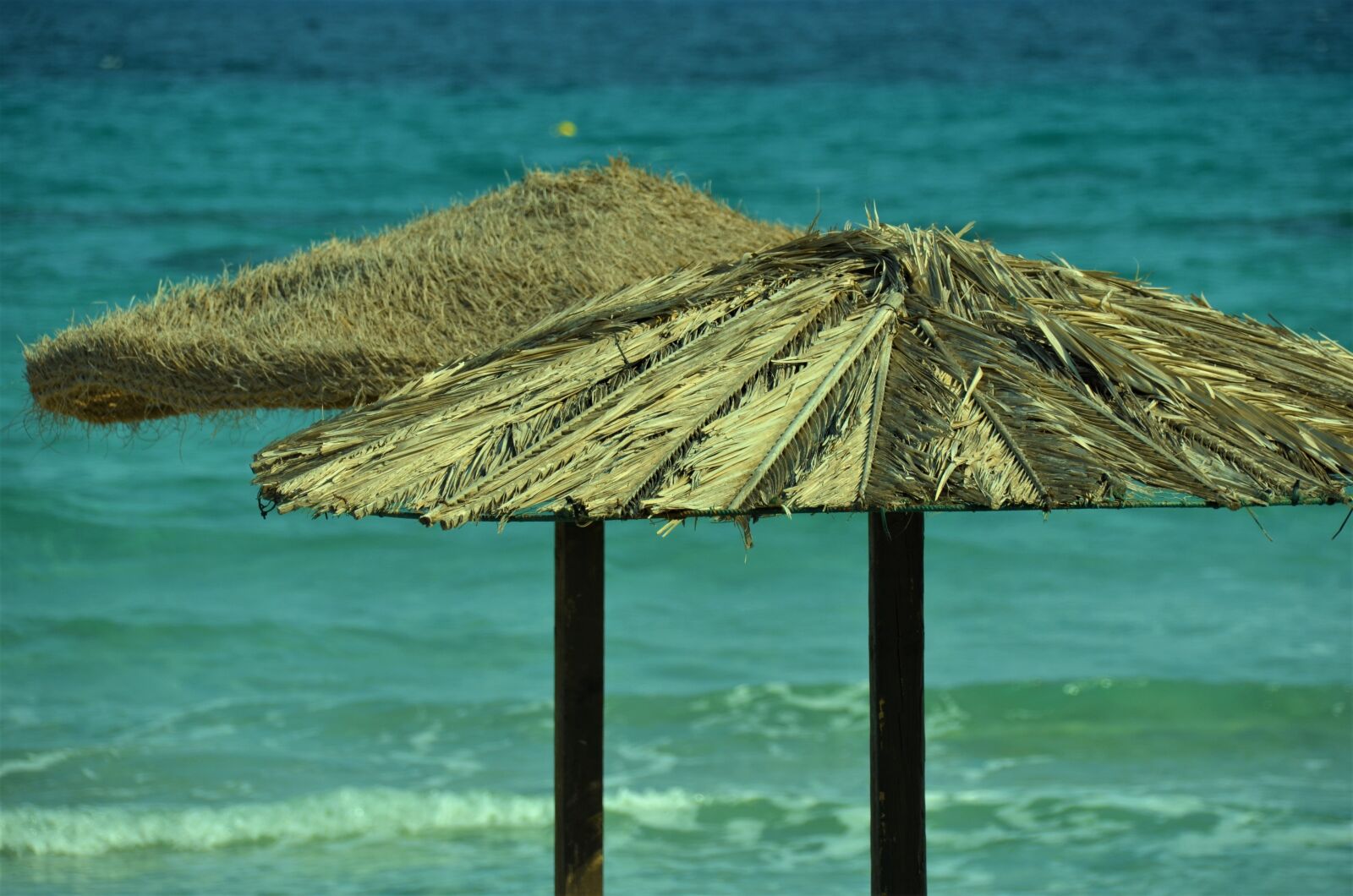 Nikon D5100 sample photo. Sardinia, sea, beach photography