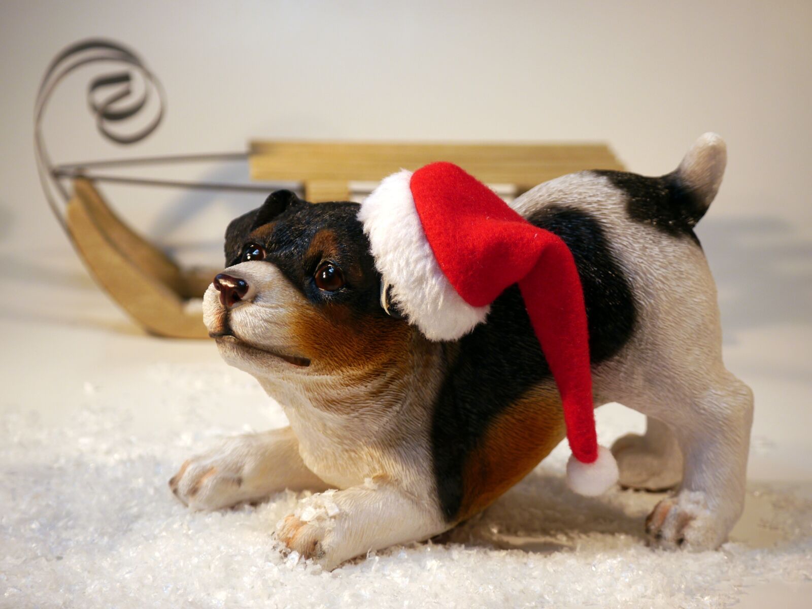 Panasonic Lumix DMC-G5 sample photo. Christmas, dog, santa hat photography