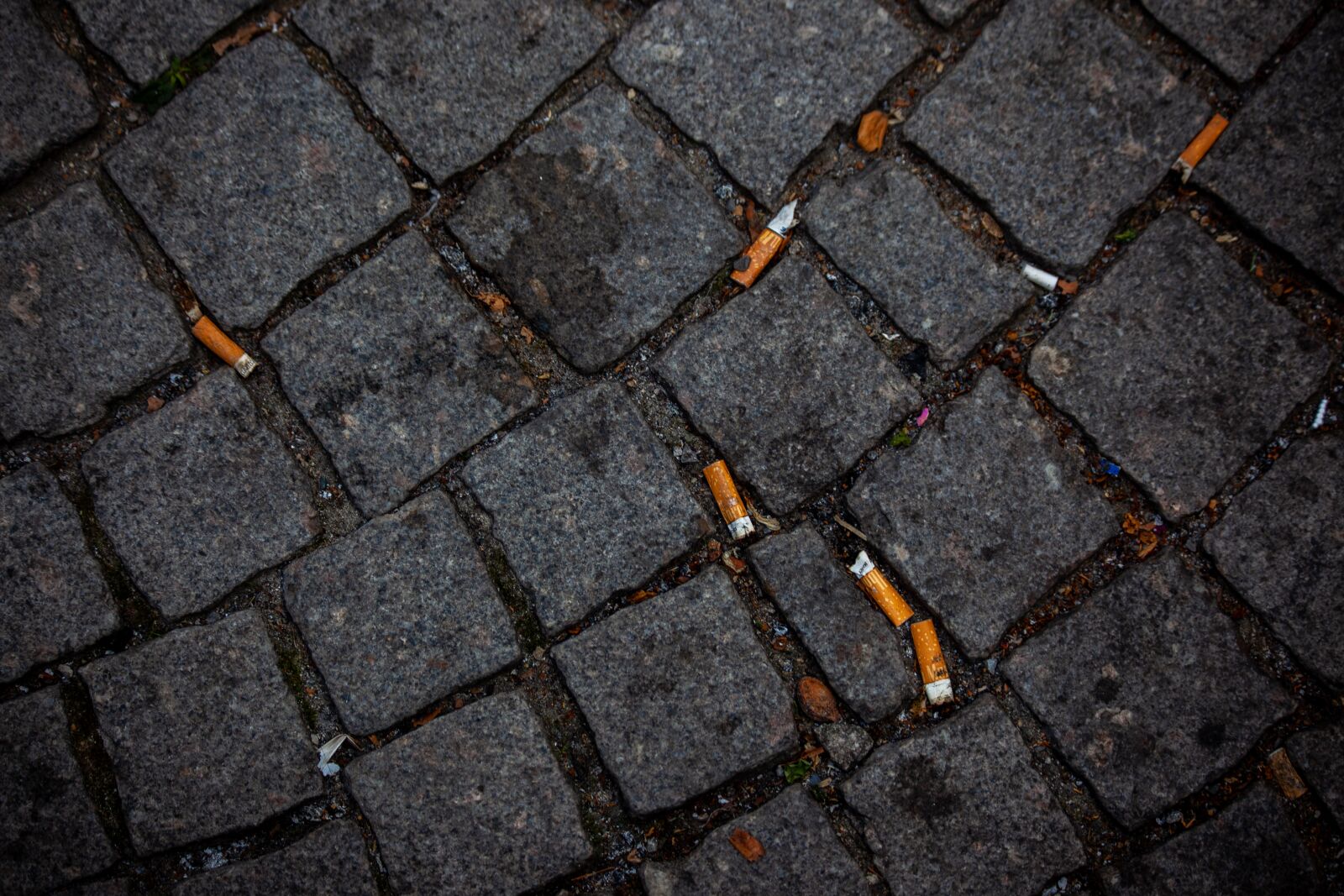 Canon EOS 5D Mark II + Canon EF 70-300mm F4-5.6 IS USM sample photo. Street, cigarette butt, pollution photography
