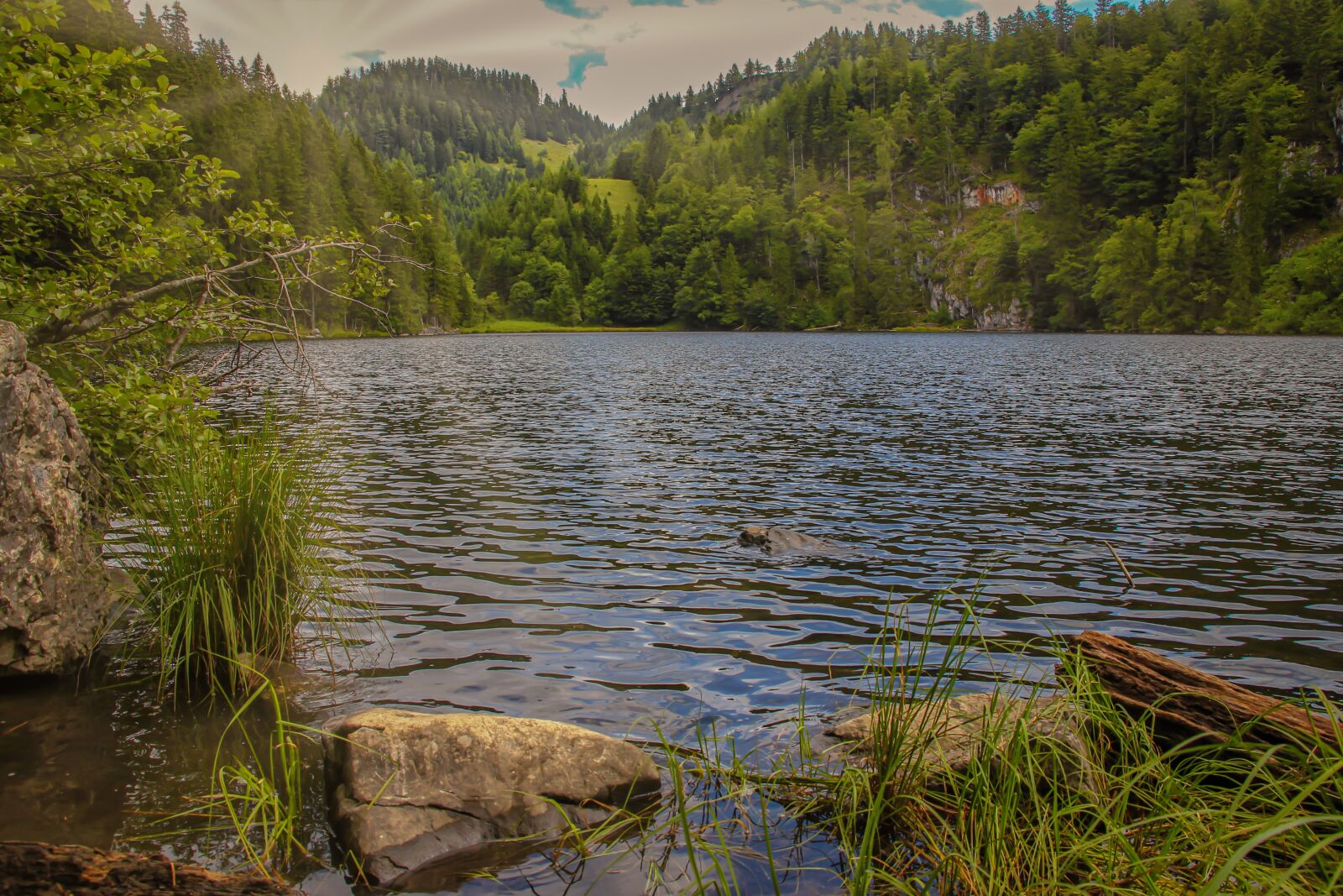 Canon EOS 550D (EOS Rebel T2i / EOS Kiss X4) sample photo. Lake, idyllic, sunbeam photography