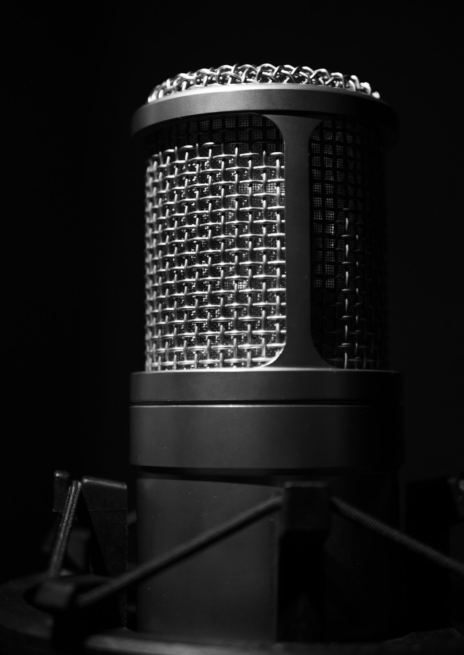 Panasonic Lumix DC-GH5 + LUMIX G 25/F1.7 sample photo. Micro, vocals, sound photography