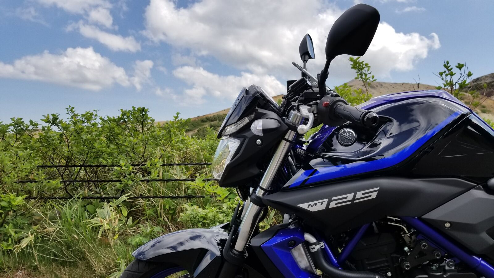 Samsung Galaxy S8+ sample photo. Bike, natural, summer photography