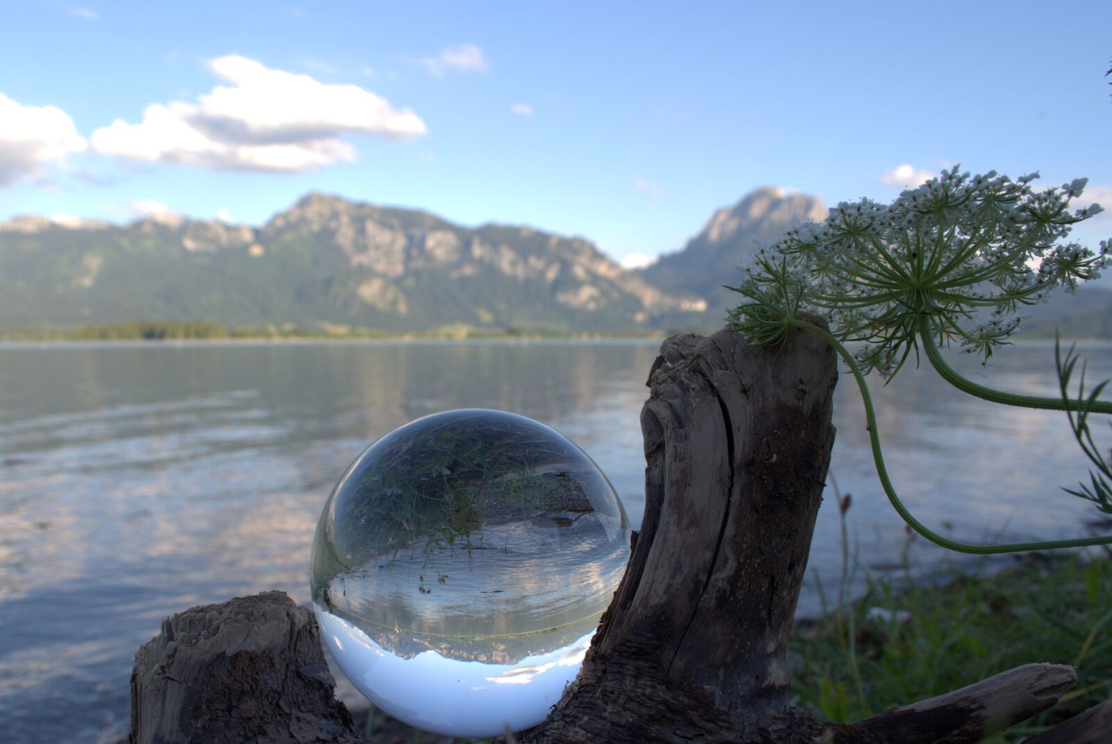Nikon D5200 sample photo. Globe image, glass ball photography