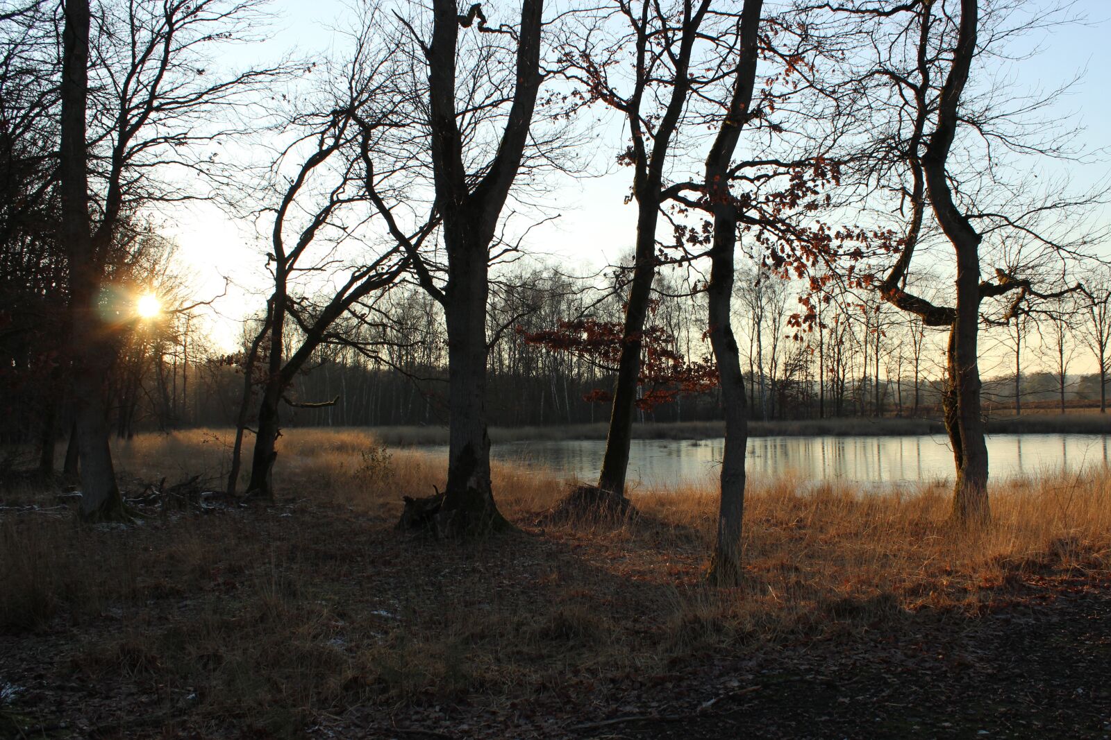 Canon EOS 600D (Rebel EOS T3i / EOS Kiss X5) sample photo. Nostalgia, twilight, enchanting photography