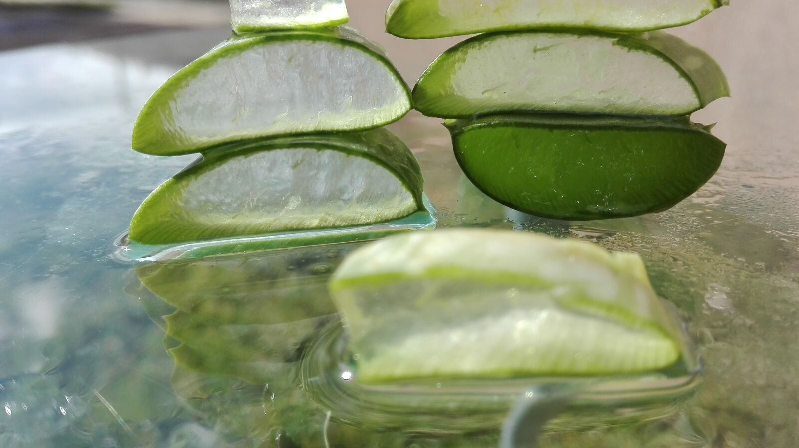 HUAWEI P8 Lite sample photo. Aloe, aloe vera, aloe photography