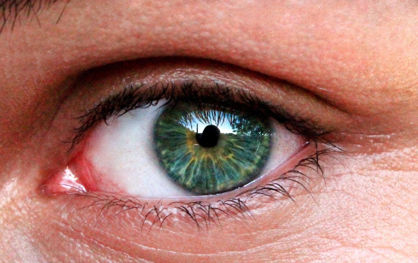 Canon EOS 1100D (EOS Rebel T3 / EOS Kiss X50) sample photo. Eyes, blue, man photography