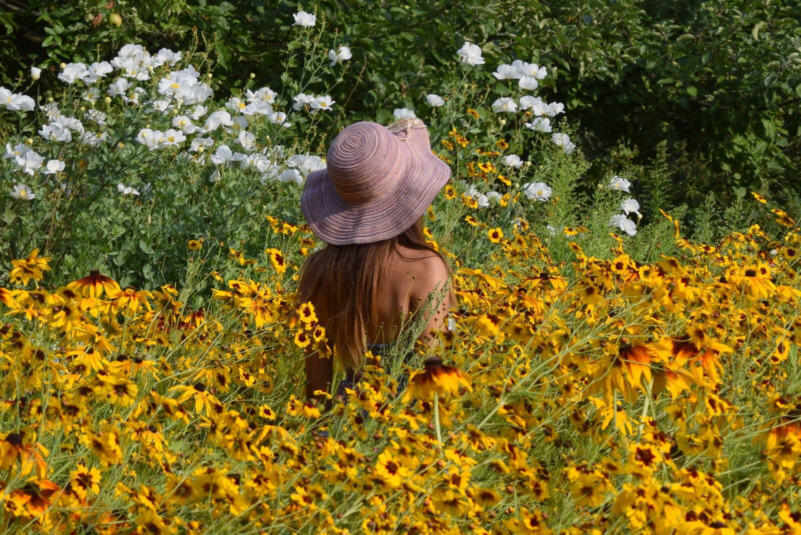 Nikon D5300 sample photo. Flowers, woman, beauty photography