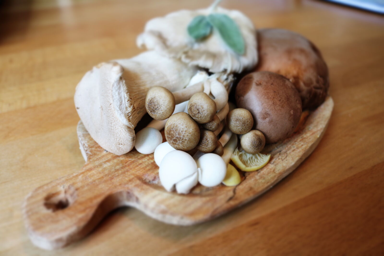 Canon EOS 750D (EOS Rebel T6i / EOS Kiss X8i) sample photo. Mushroom, on, brown, wooden photography
