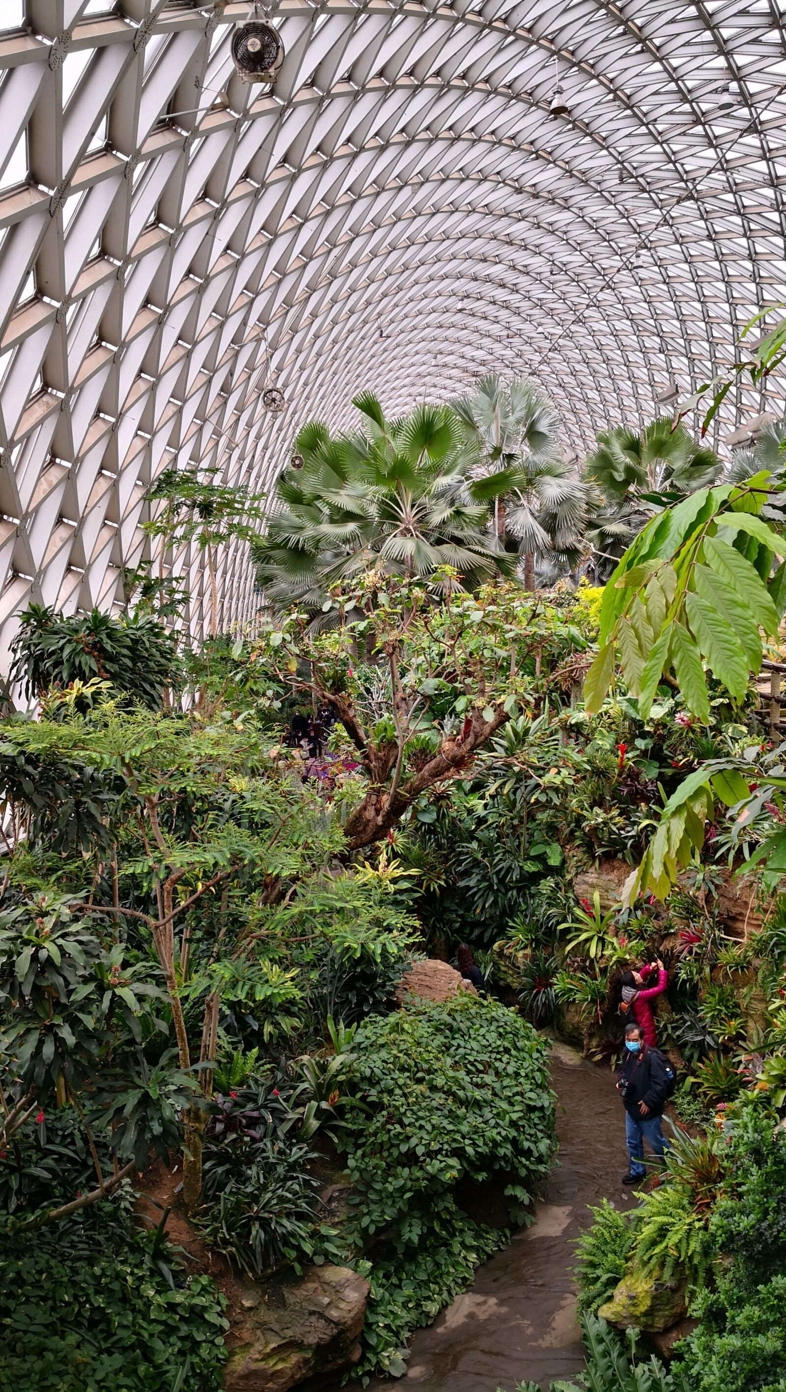 HUAWEI Mate 10 sample photo. Shanghai, tropical pavilion, chenshan photography