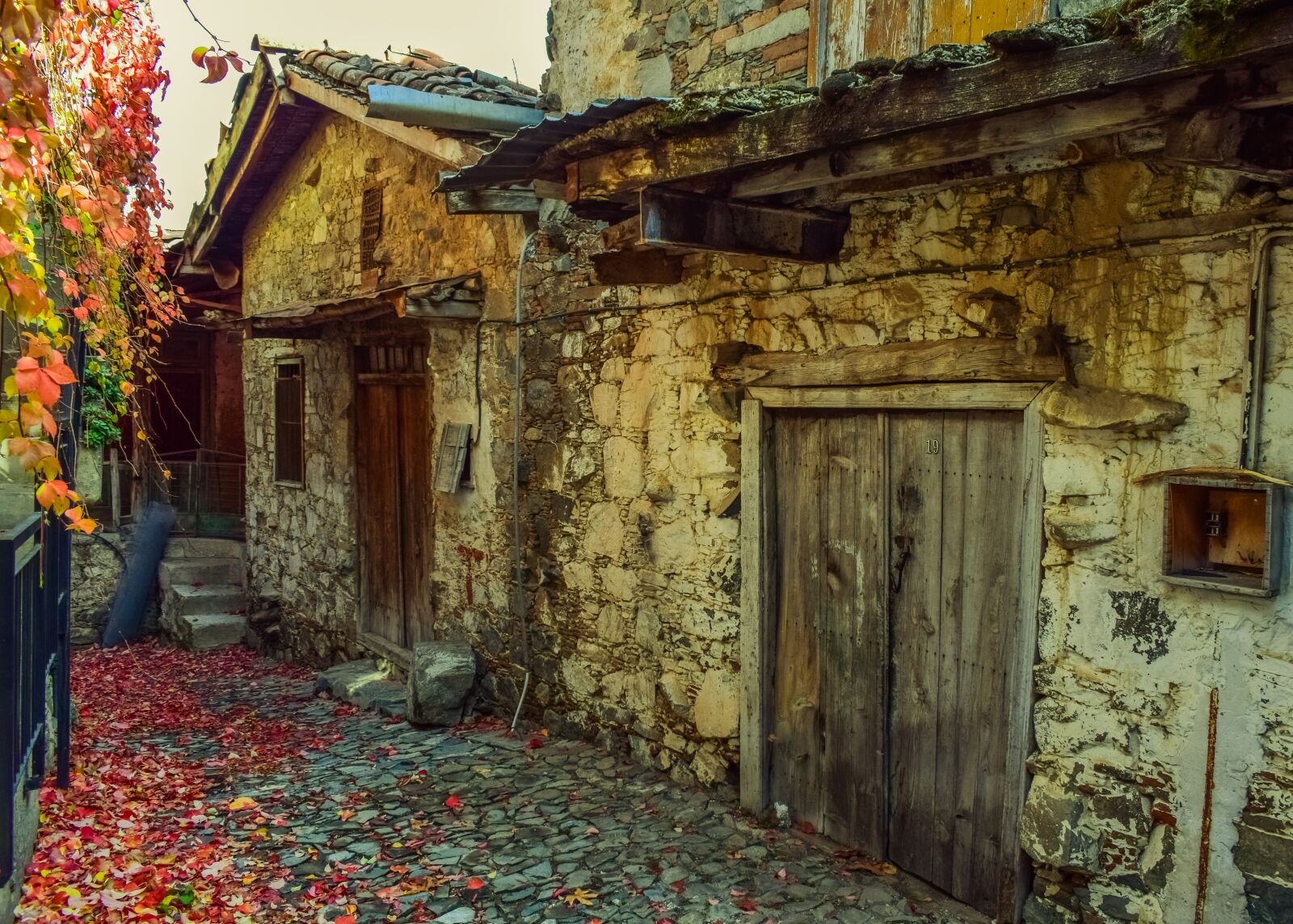 Nikon D3300 sample photo. Autumn mood, autumn colors photography