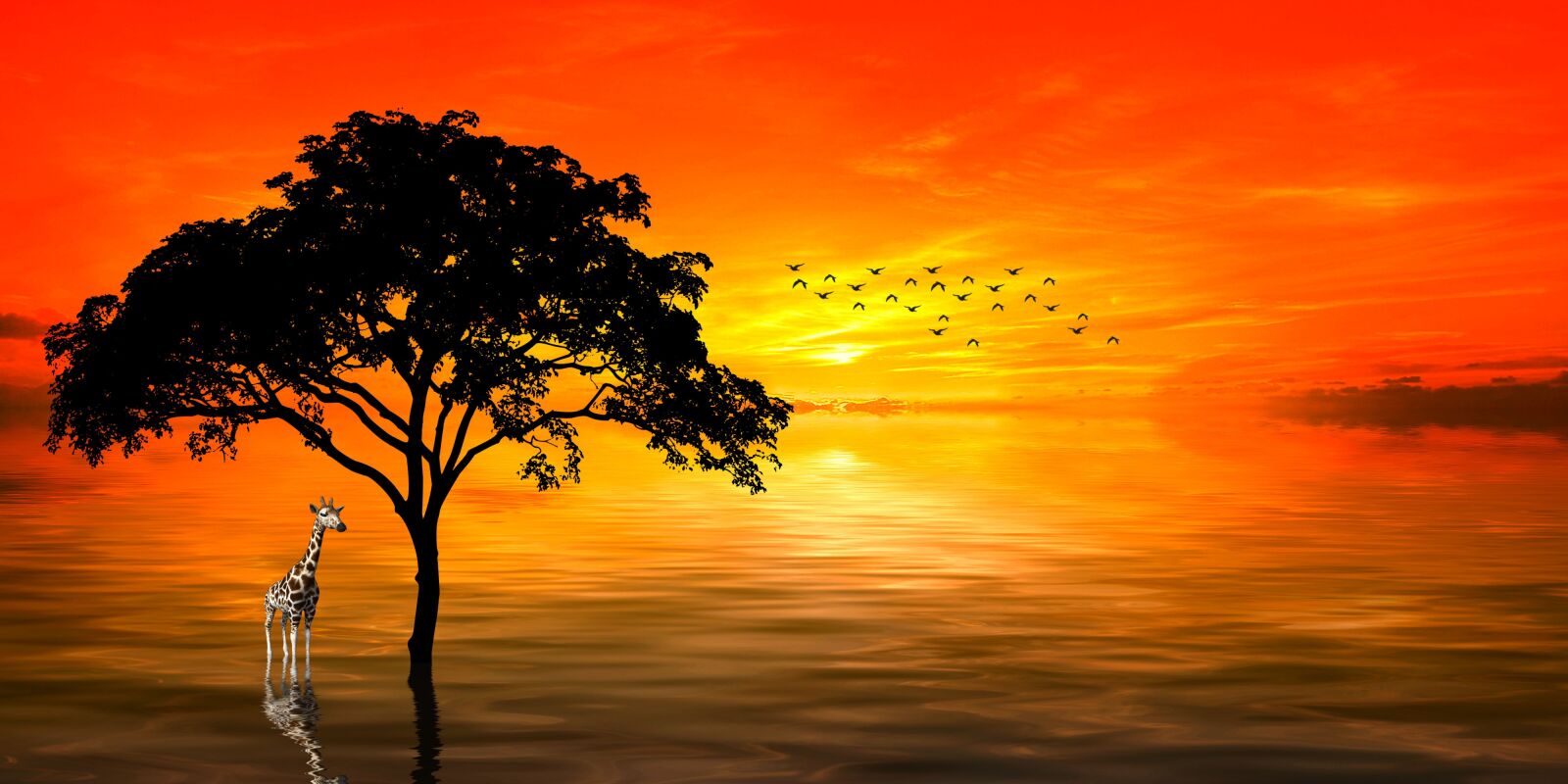 Nikon D40 sample photo. Dawn, the morning, nature photography