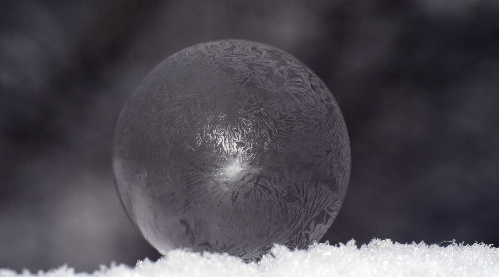 Nikon D3300 sample photo. Ball, ice ball, frosty photography