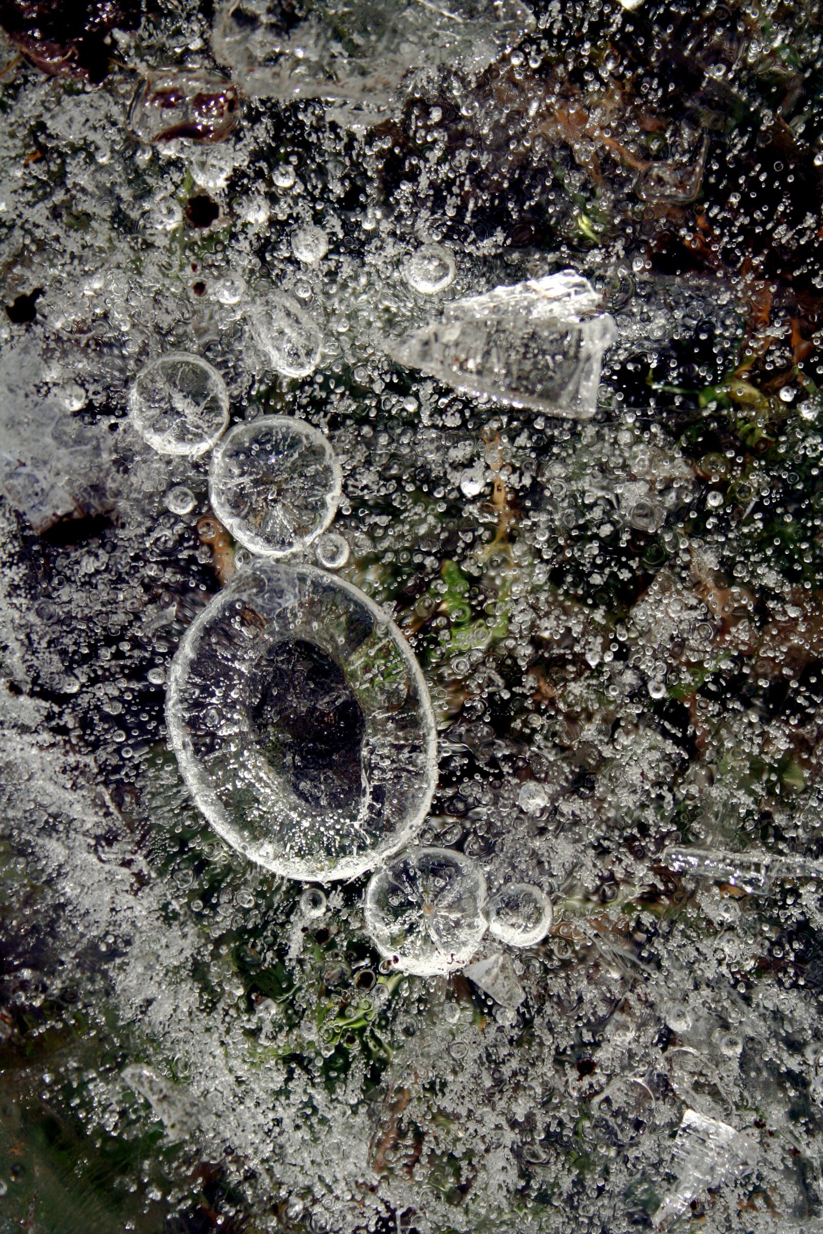 Canon EOS 350D (EOS Digital Rebel XT / EOS Kiss Digital N) sample photo. Ice, bubble, water photography
