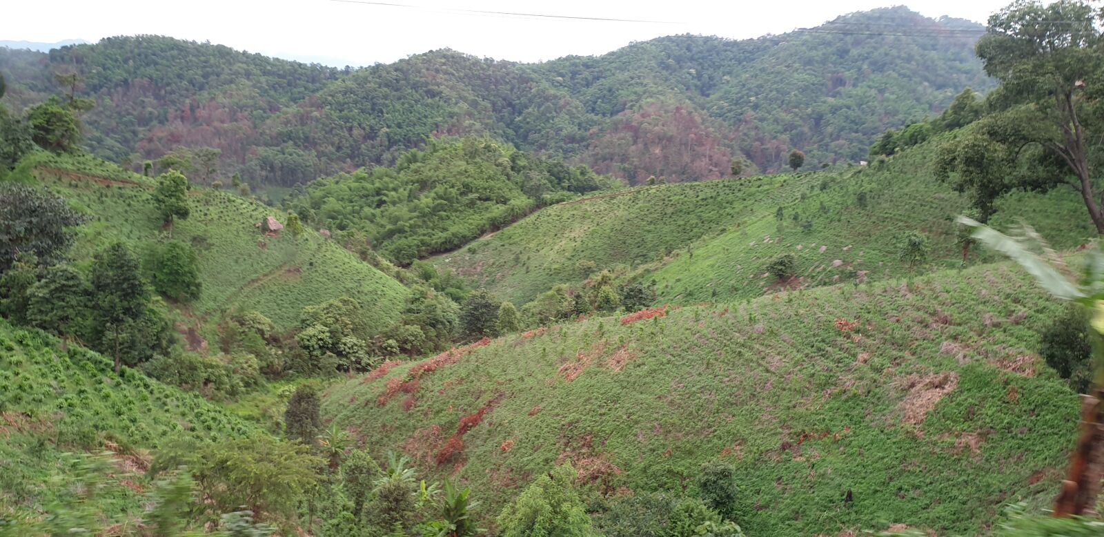 Samsung Galaxy Note9 sample photo. Mountains, the north, nature photography