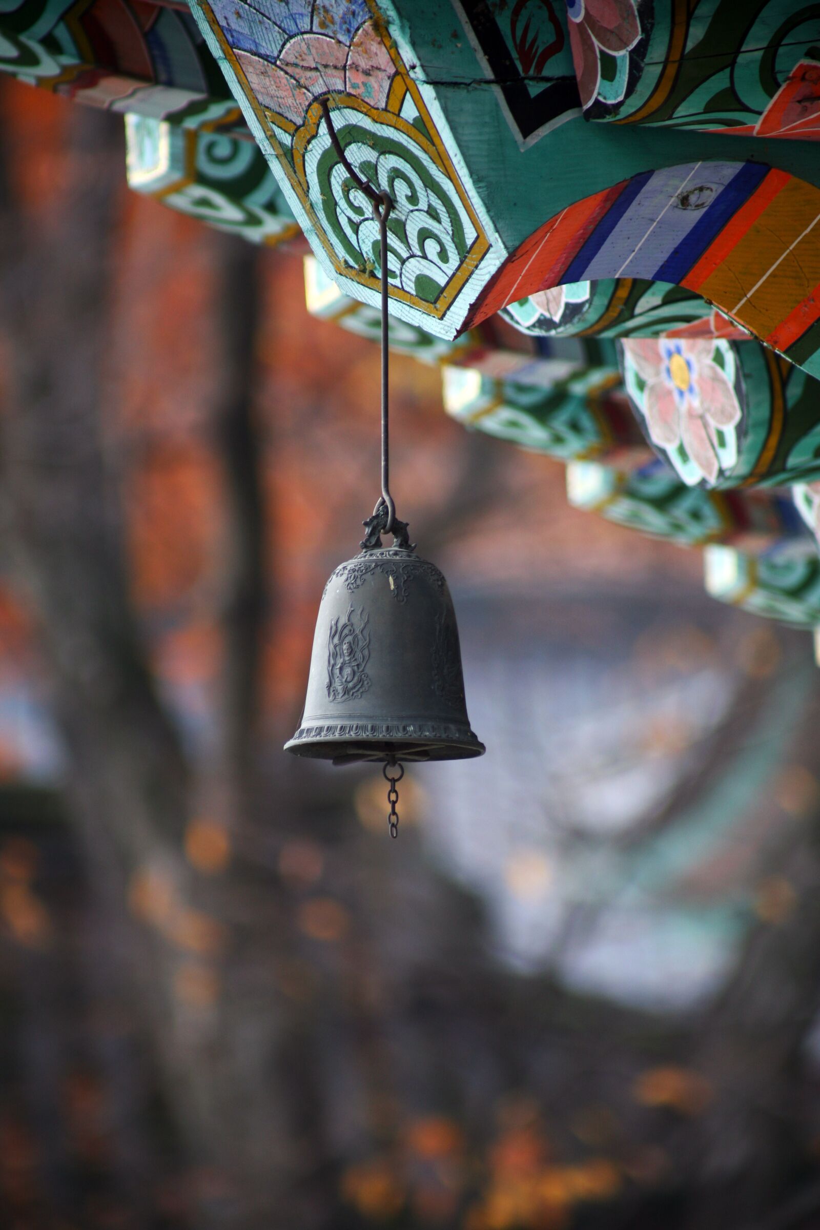 Canon EOS 5D sample photo. Species, landscape, section photography