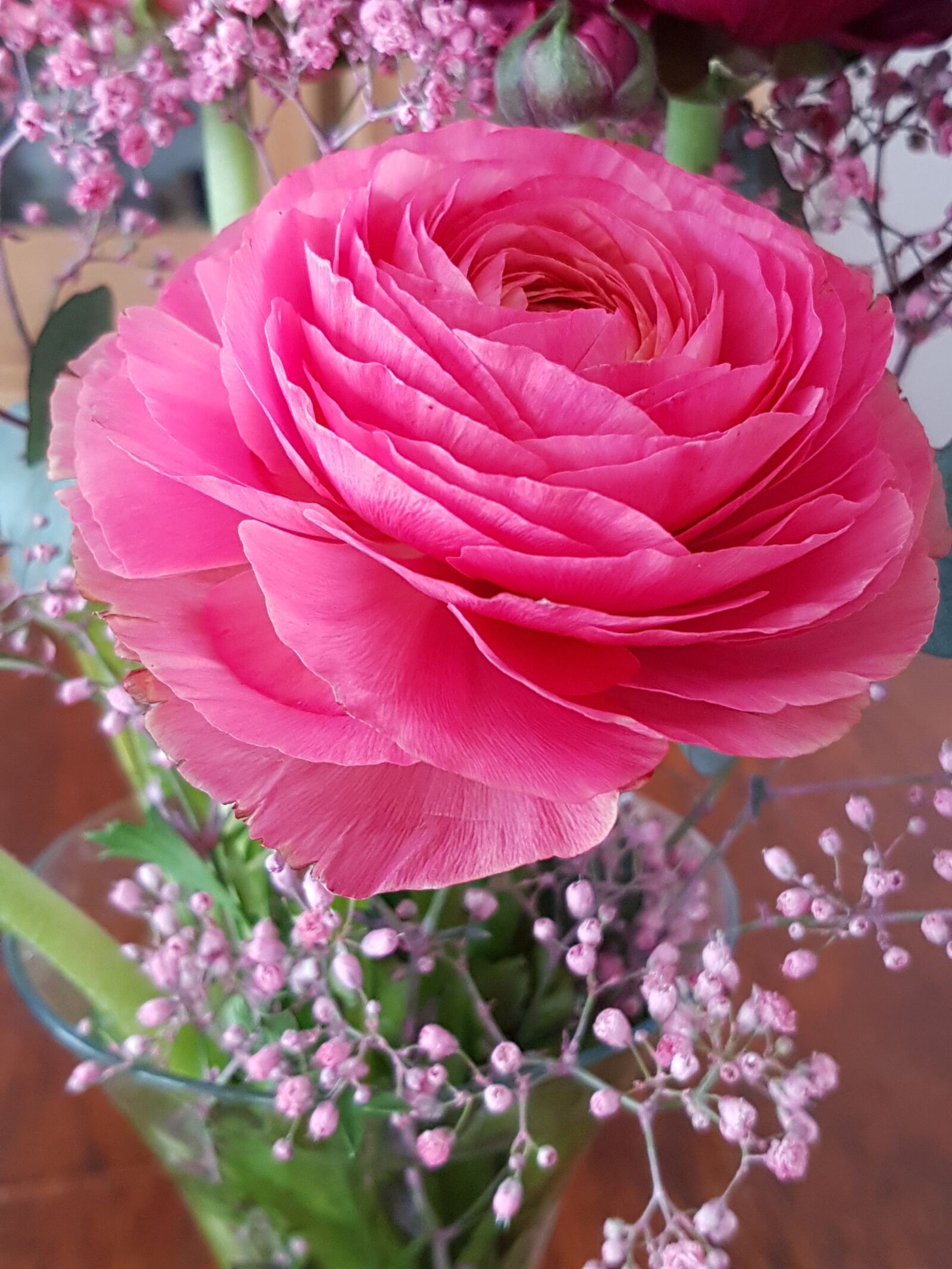 Samsung Galaxy S7 sample photo. Flower, plant, petal photography