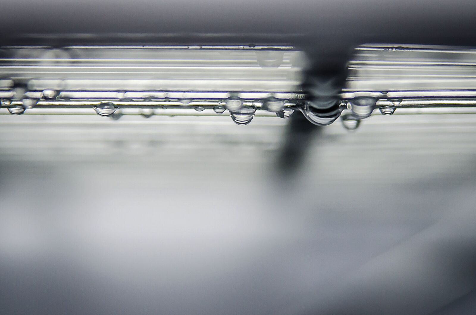 Nikon D5100 sample photo. Water, dew, wet, reflection photography