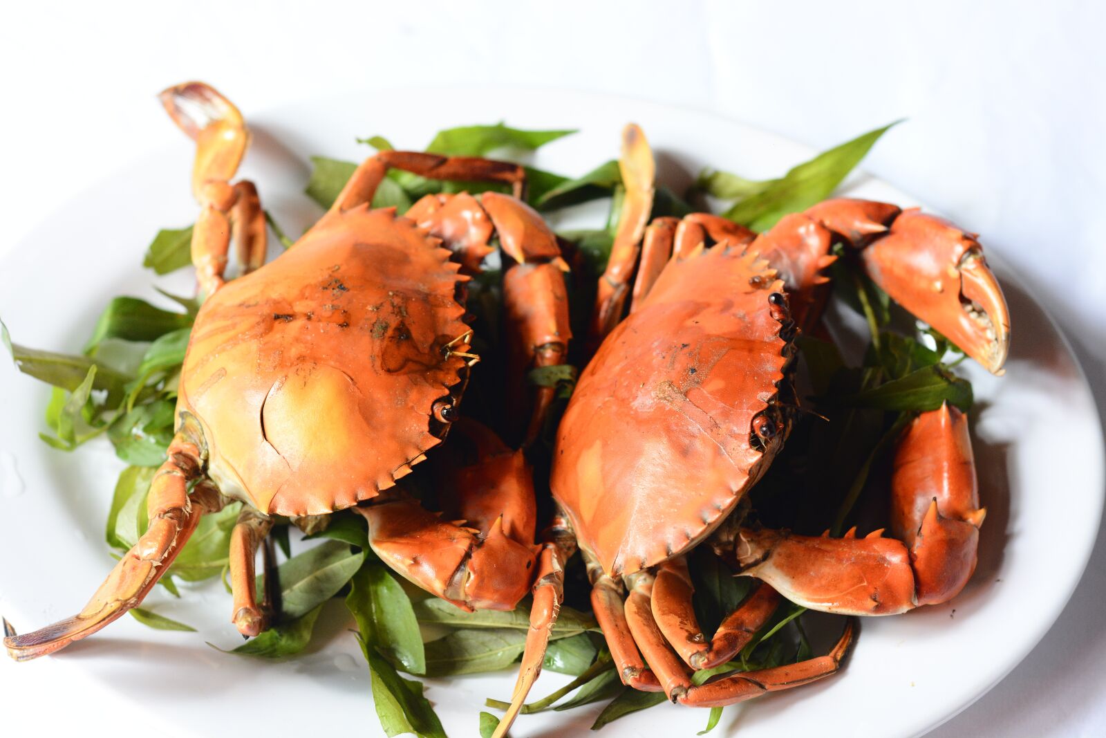 Nikon D7100 sample photo. Crab meat, crab grilled photography