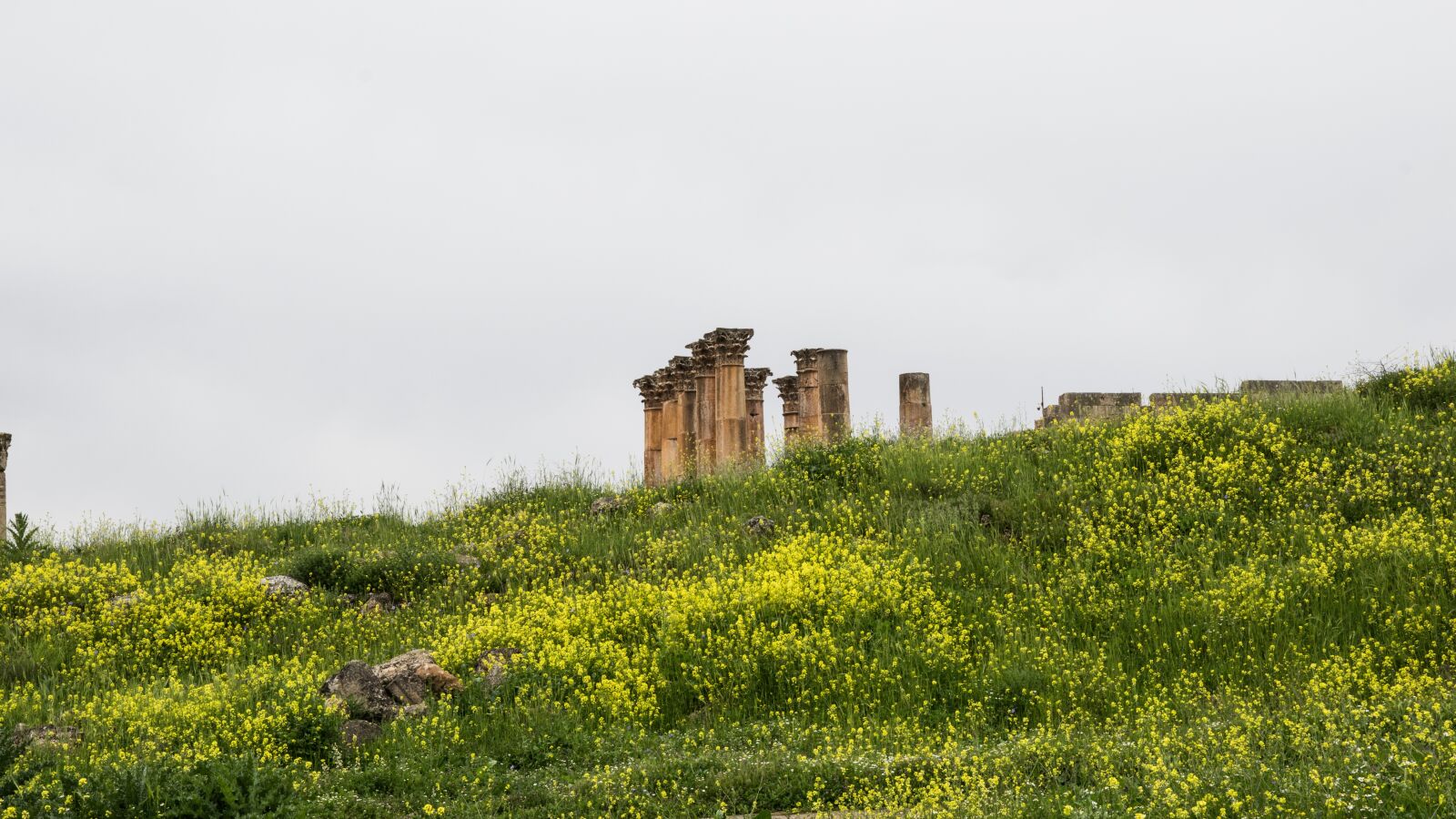 Nikon D5300 sample photo. Jerash, ruins, jordan photography