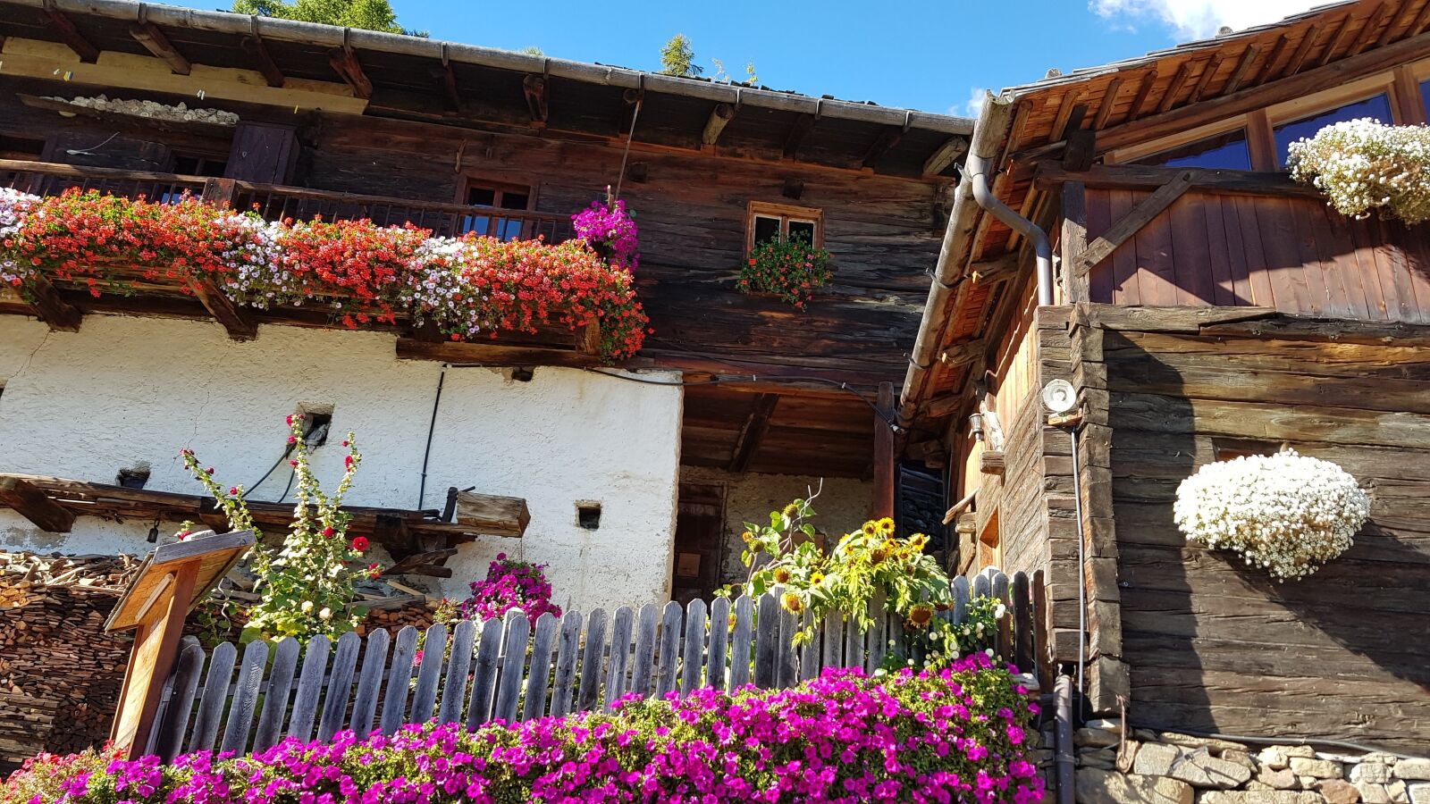 Samsung Galaxy S8 sample photo. Südtirol, flowers, hiking photography