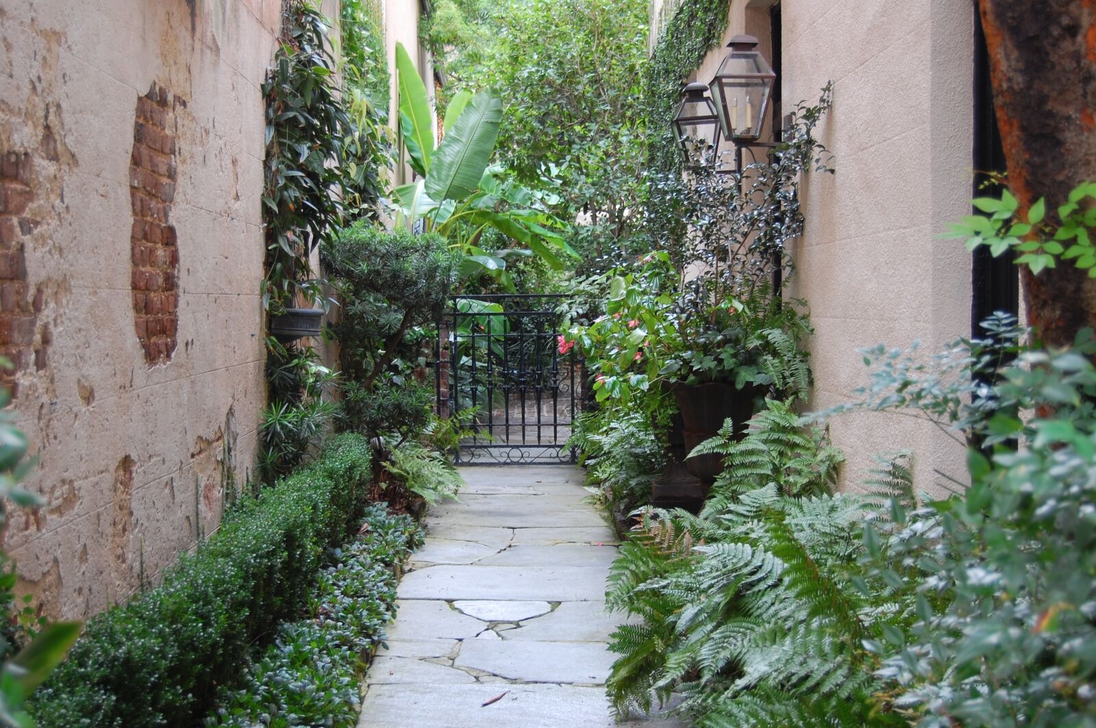 Nikon D40 sample photo. Path, gate, building photography