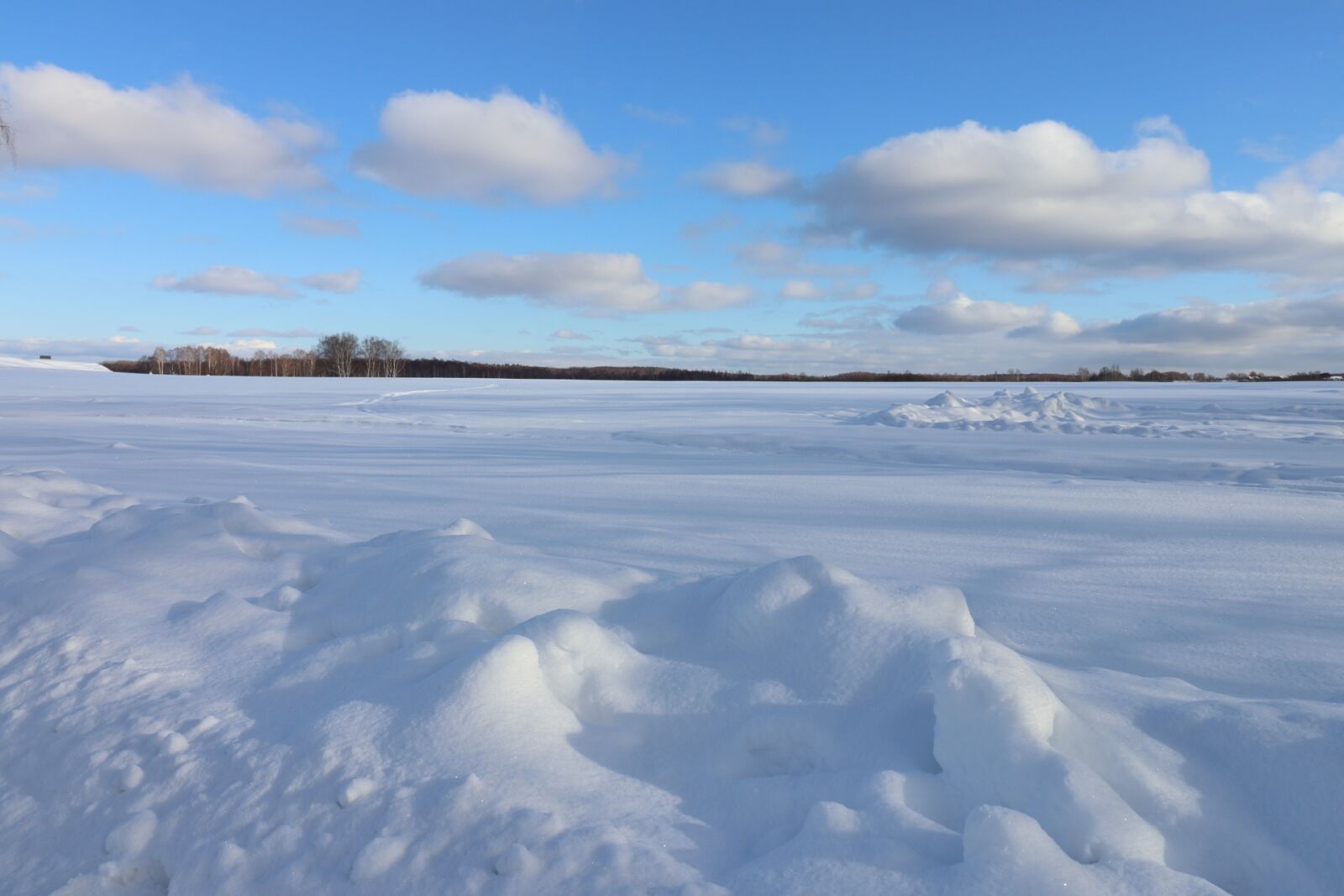 Canon EOS 77D (EOS 9000D / EOS 770D) sample photo. Nature, winter, snow photography