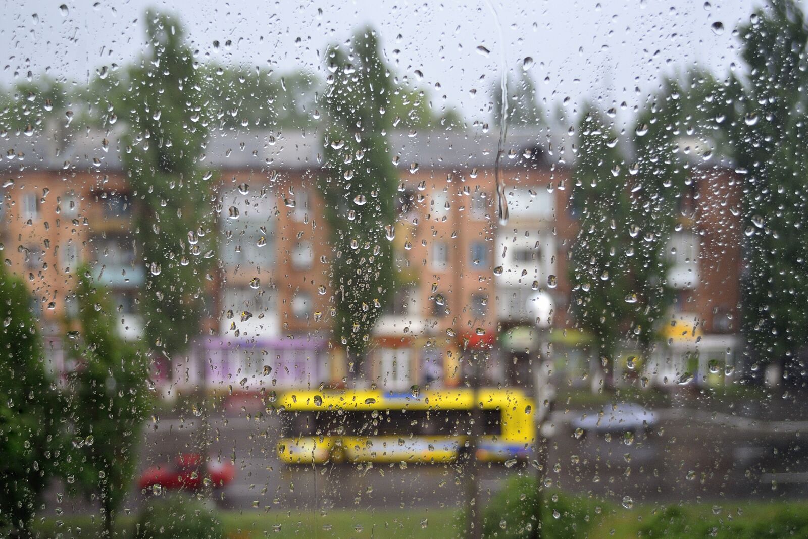 Nikon D3100 sample photo. Window, rain, drops photography
