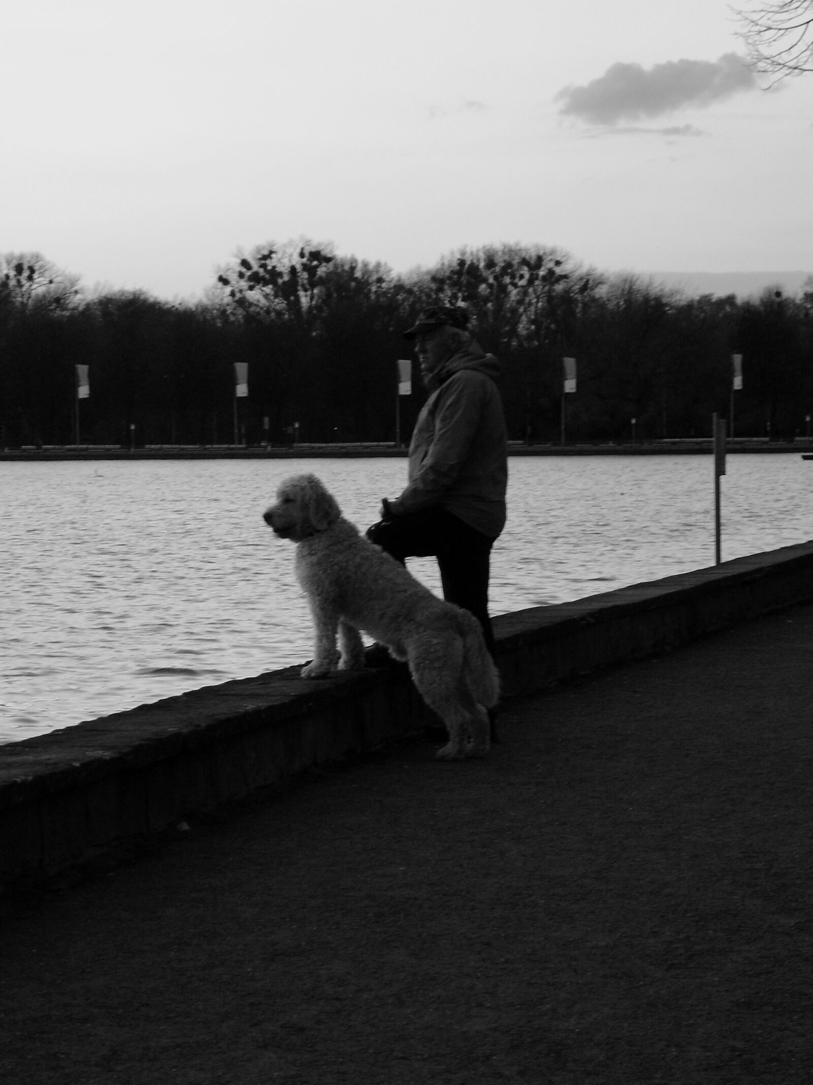 Sony DSC-V3 sample photo. Animal, black, black, and photography